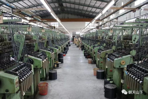 南安青年商會(huì)開(kāi)展 交流活動(dòng)